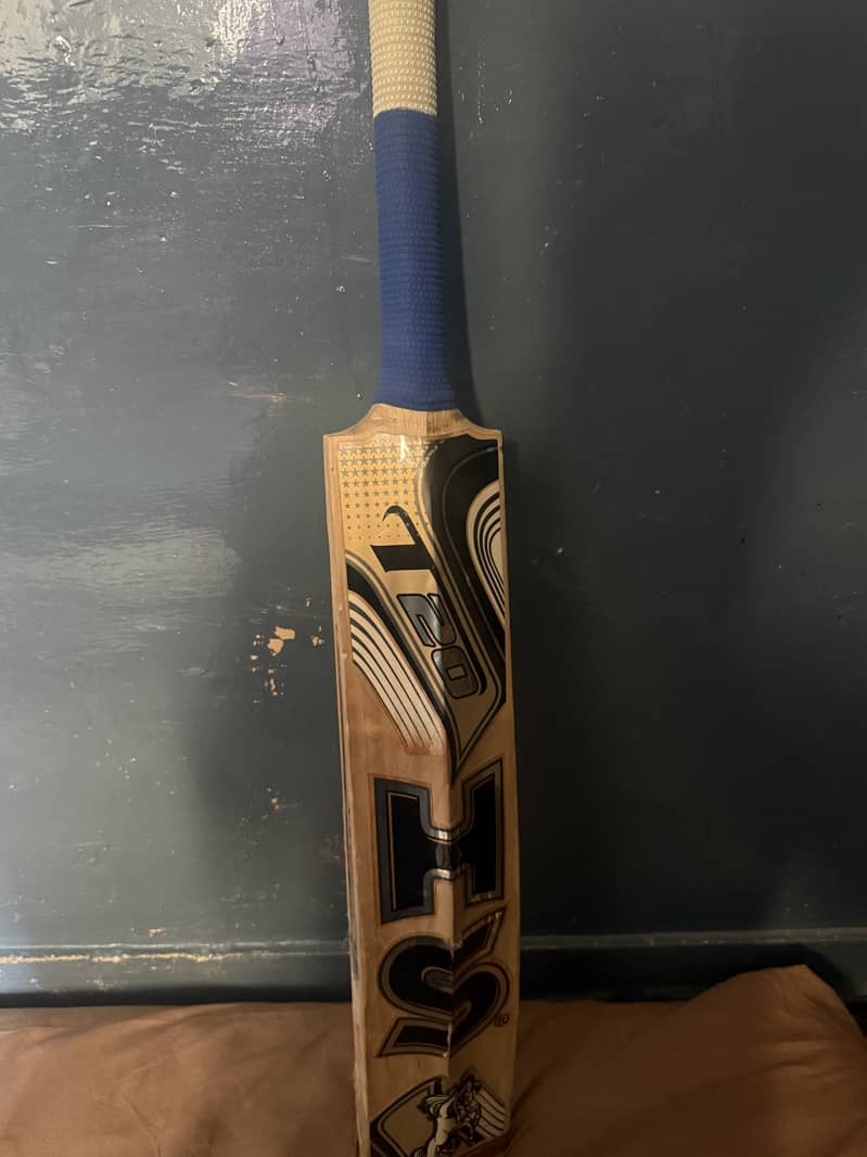 Hard Ball bat 1