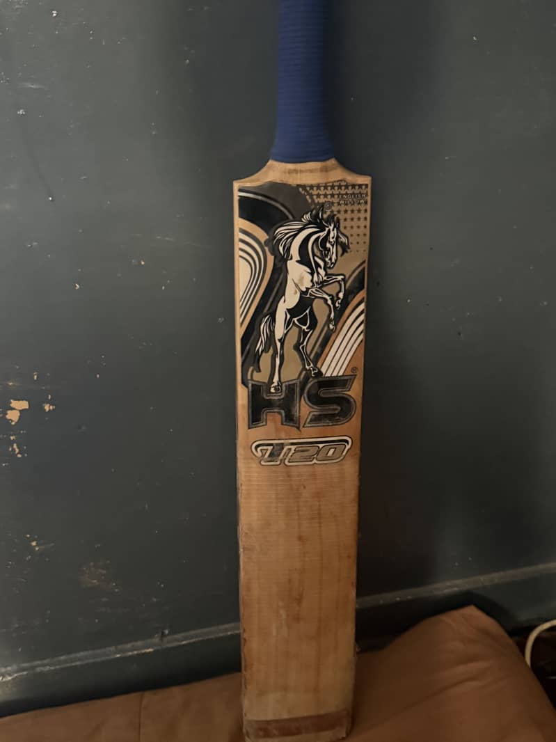 Hard Ball bat 2