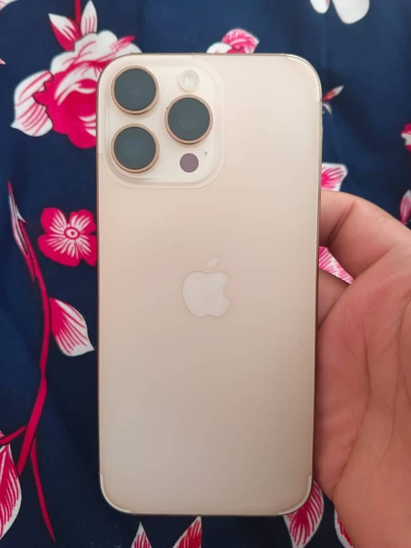 Apple iPhone 16 Pro Max 1