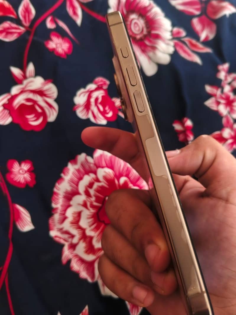 Apple iPhone 16 Pro Max 2