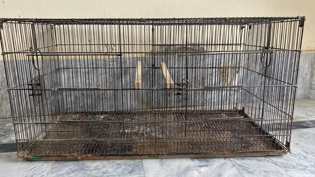 Parrot Cage — photo 2