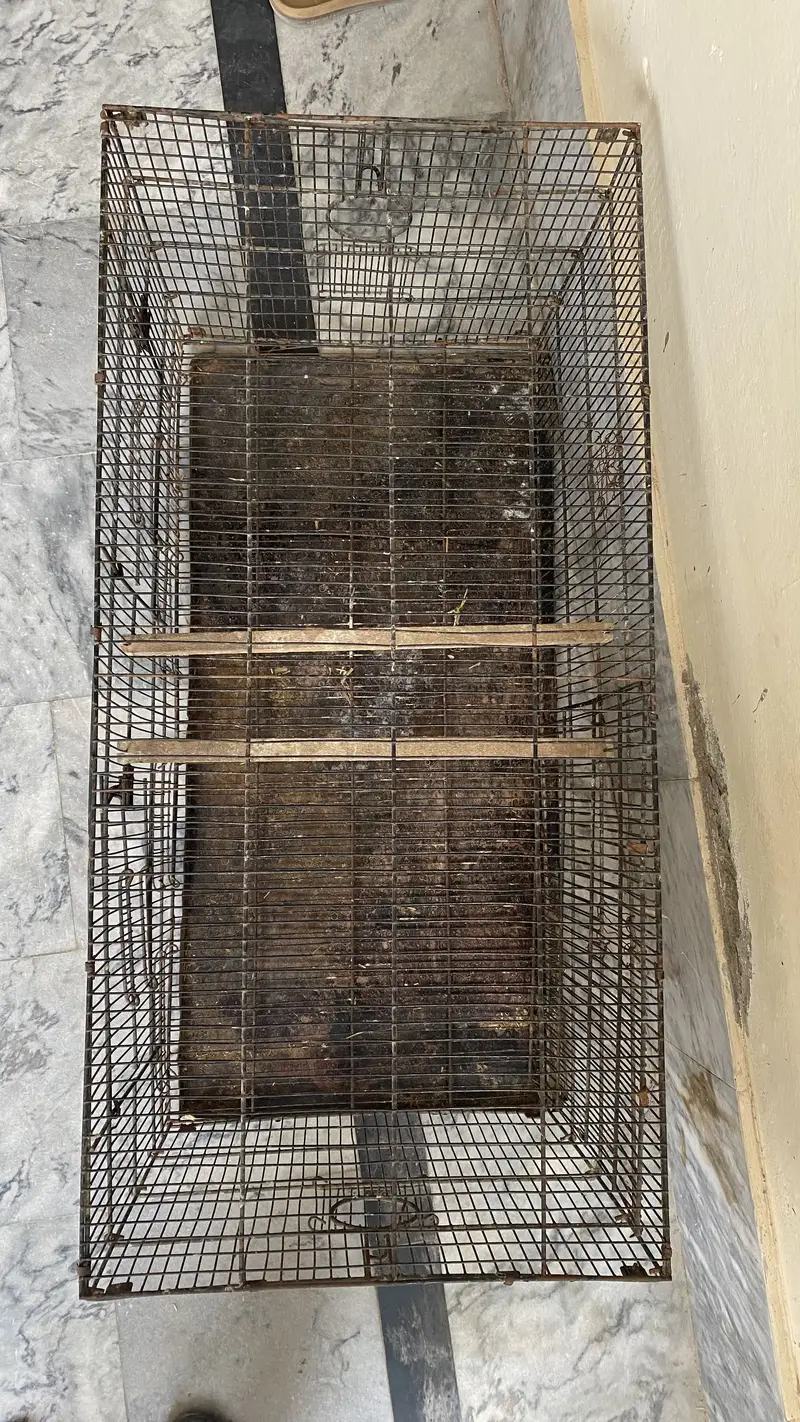 Parrot Cage — photo 3