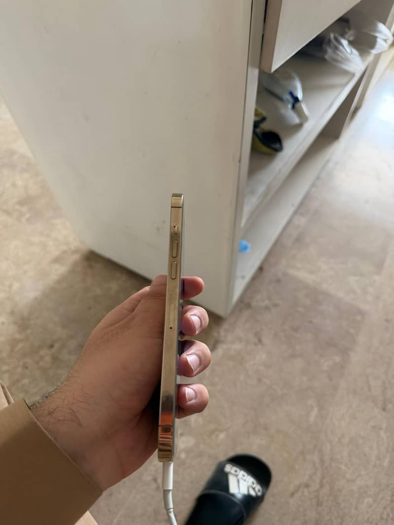 Apple iPhone 12 Pro Max 1