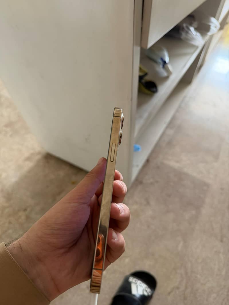 Apple iPhone 12 Pro Max 3