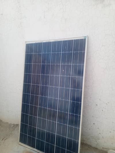 arjant sall kar ne ha 310wd ha