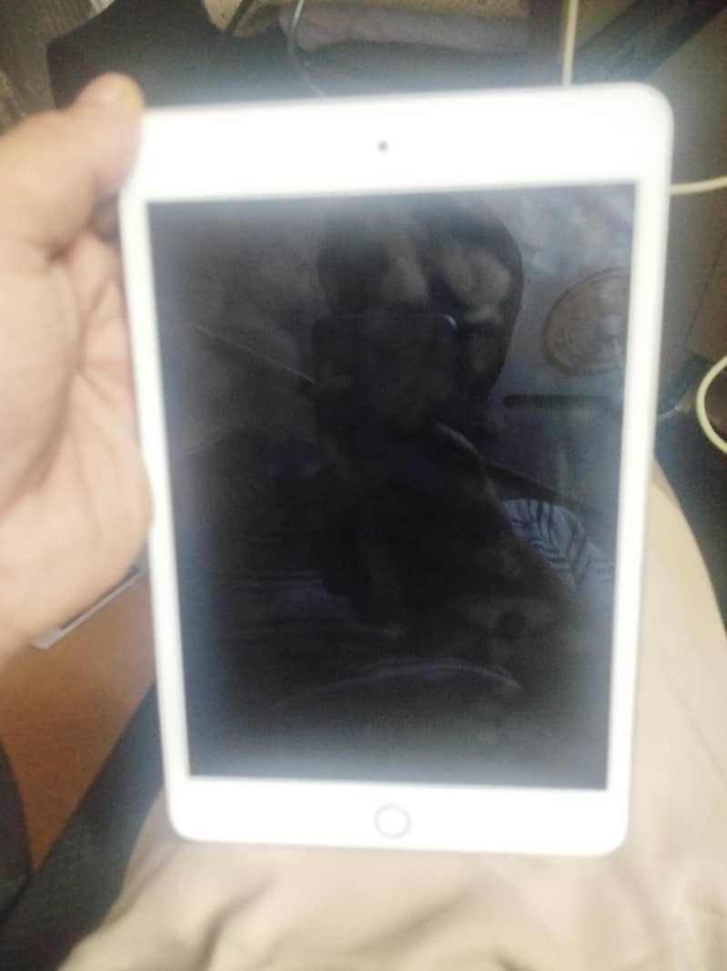 Ipad Mini 5 3