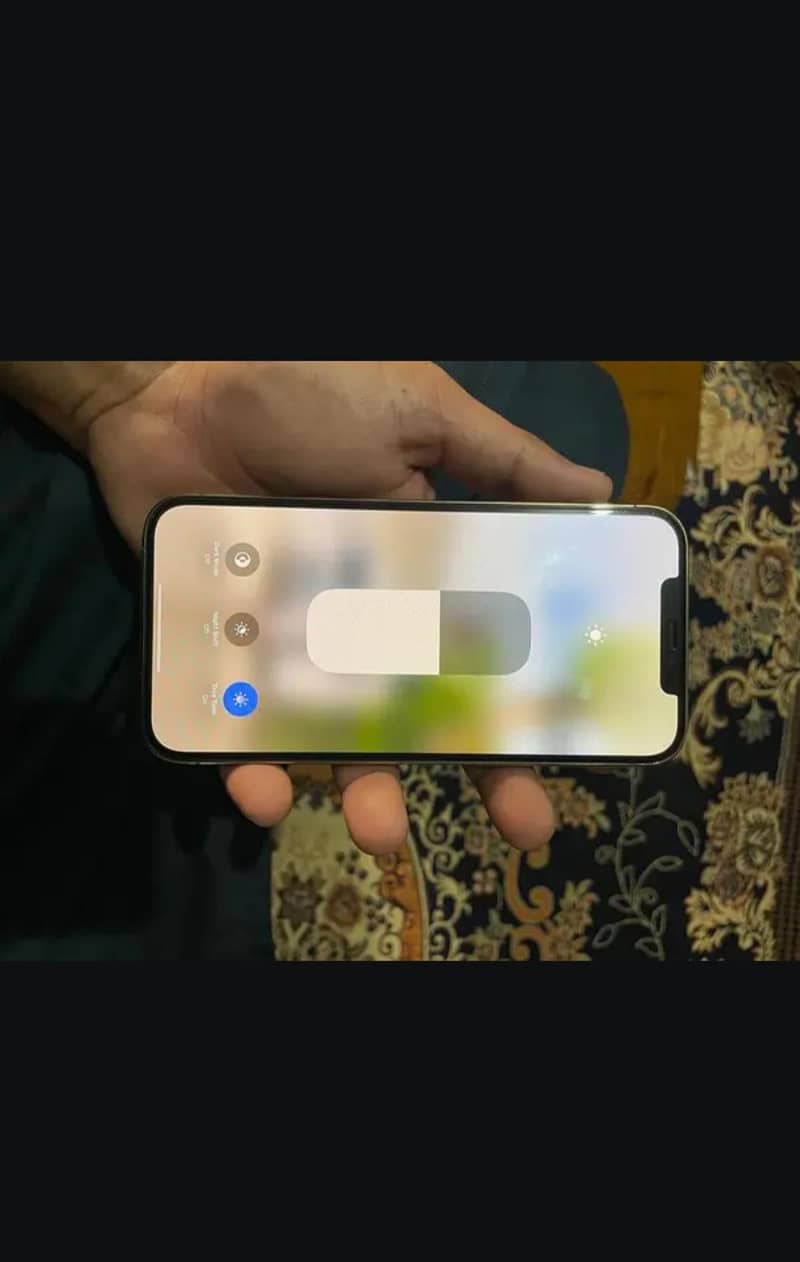 Apple iPhone 12 Pro Max 2