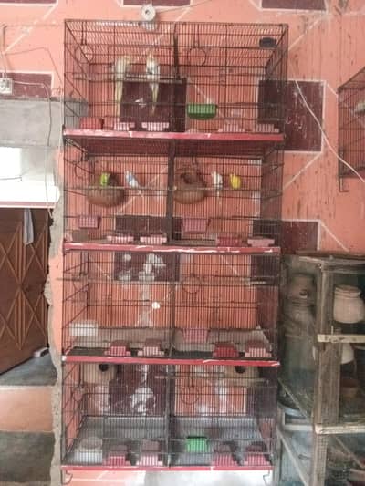 8cages pinjra all ok koi bhi jagah se tota nhi he trey bhi sab achi he