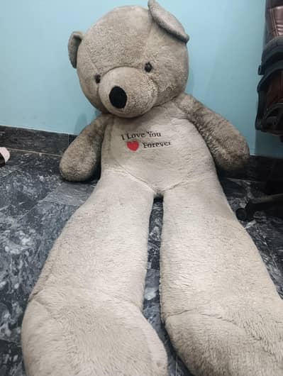6 feet white color teddy bear