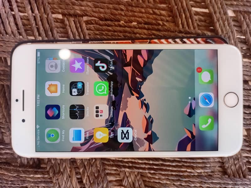 Apple iPhone 7 Plus 1