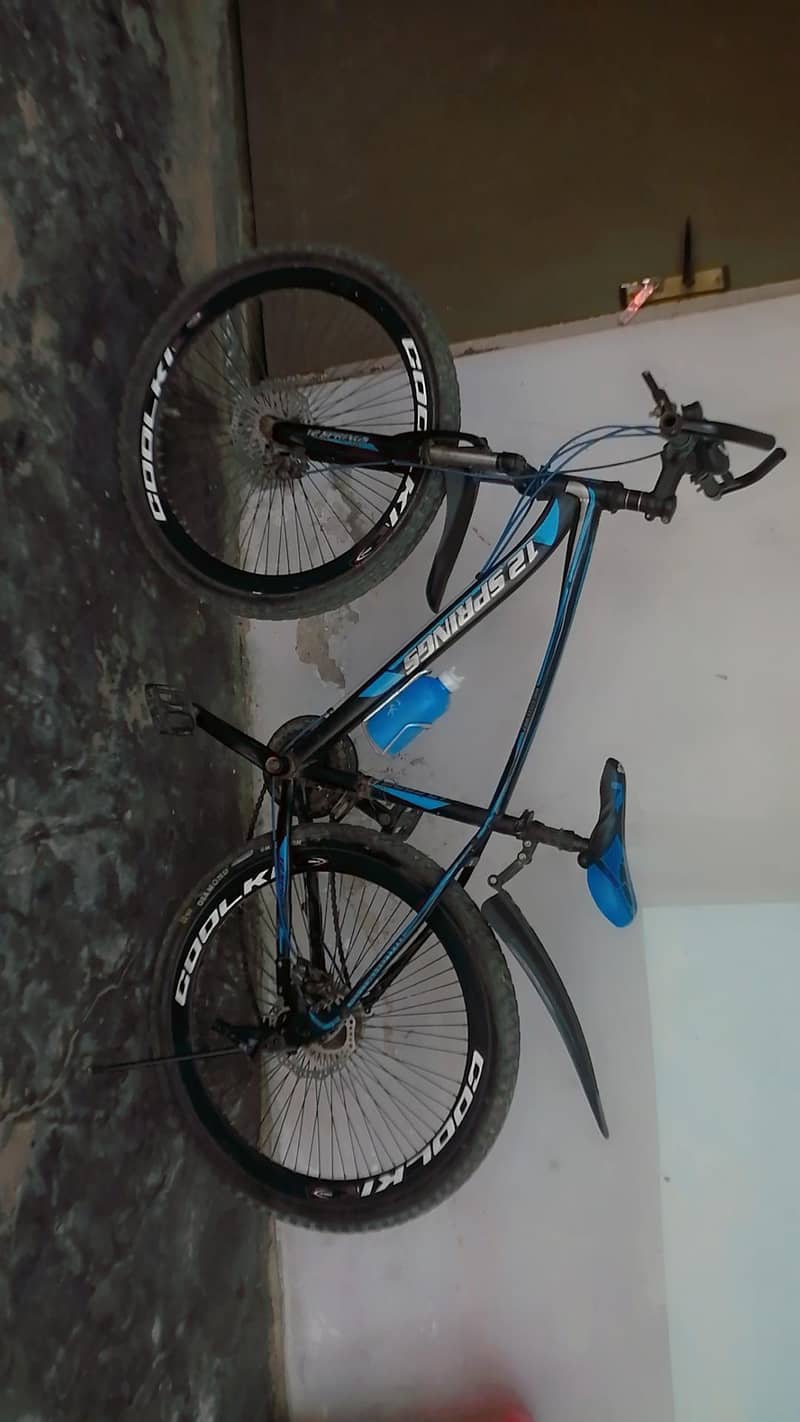 12 spring bicycle 0