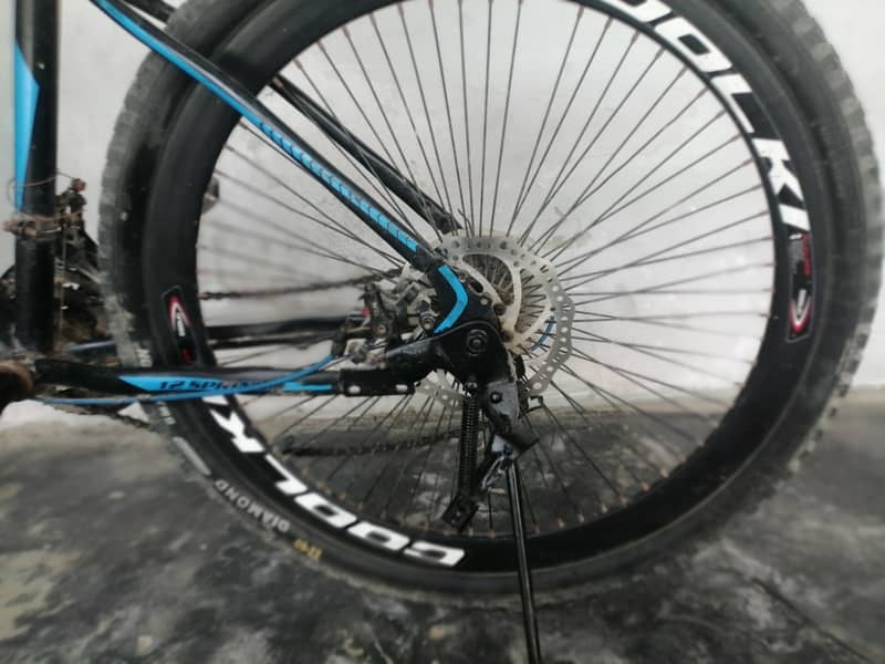 12 spring bicycle 1