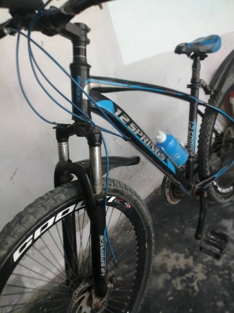 12 spring bicycle 2