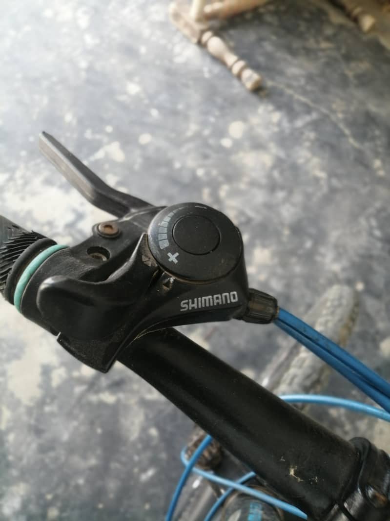 12 spring bicycle 3
