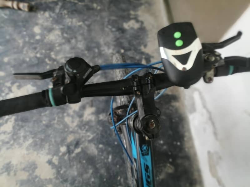 12 spring bicycle 4