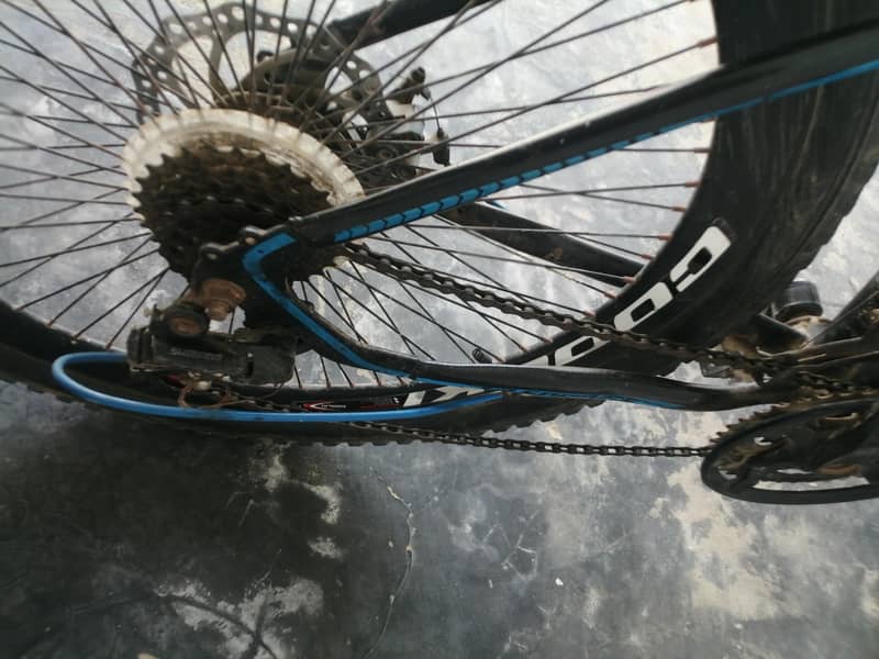12 spring bicycle 5