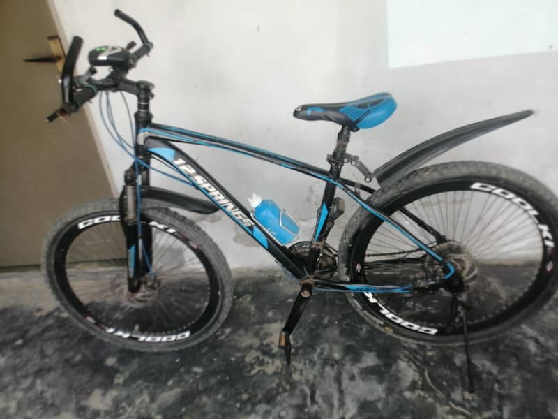 12 spring bicycle 6