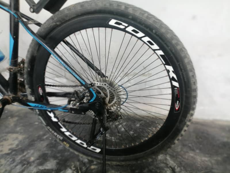 12 spring bicycle 7