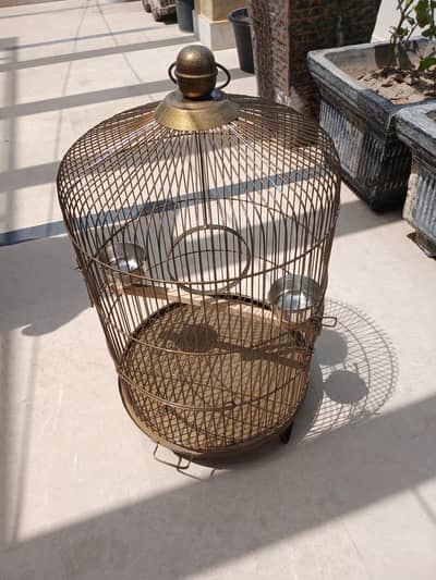 Small cage for parrots