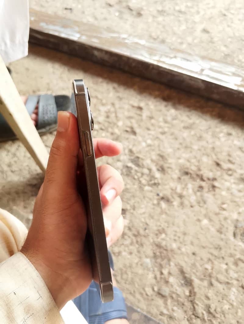 Apple iPhone 13 Pro Max 1