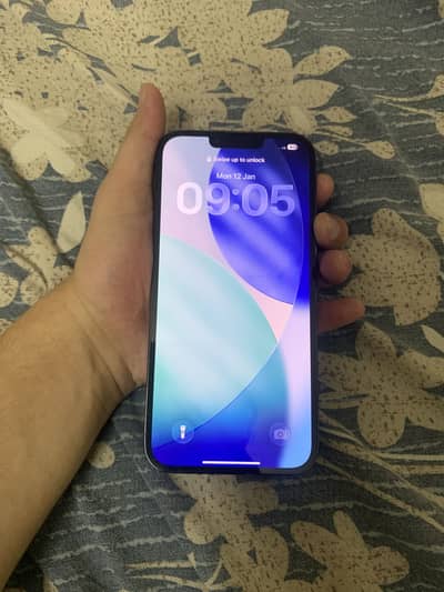 Apple iPhone 13 Pro Max