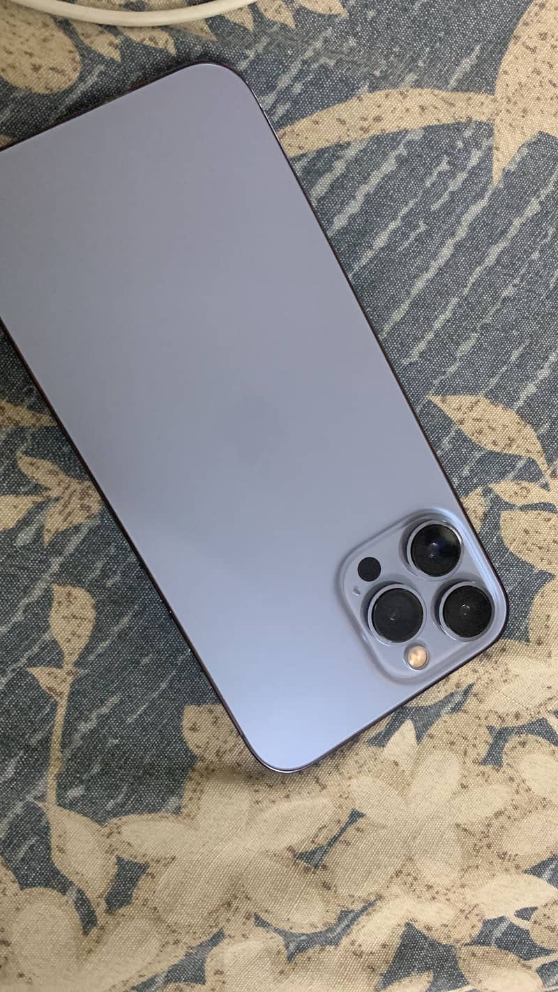 Apple iPhone 13 Pro Max 1
