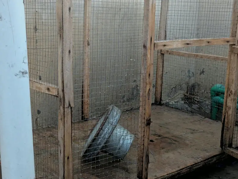 Hen Cage | Excellent Condition — photo 3