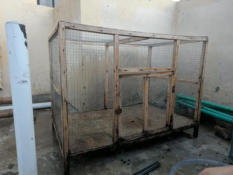 Hen Cage | Excellent Condition — photo 4