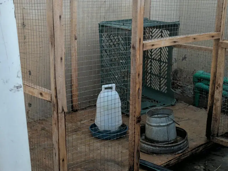 Hen Cage | Excellent Condition — photo 5