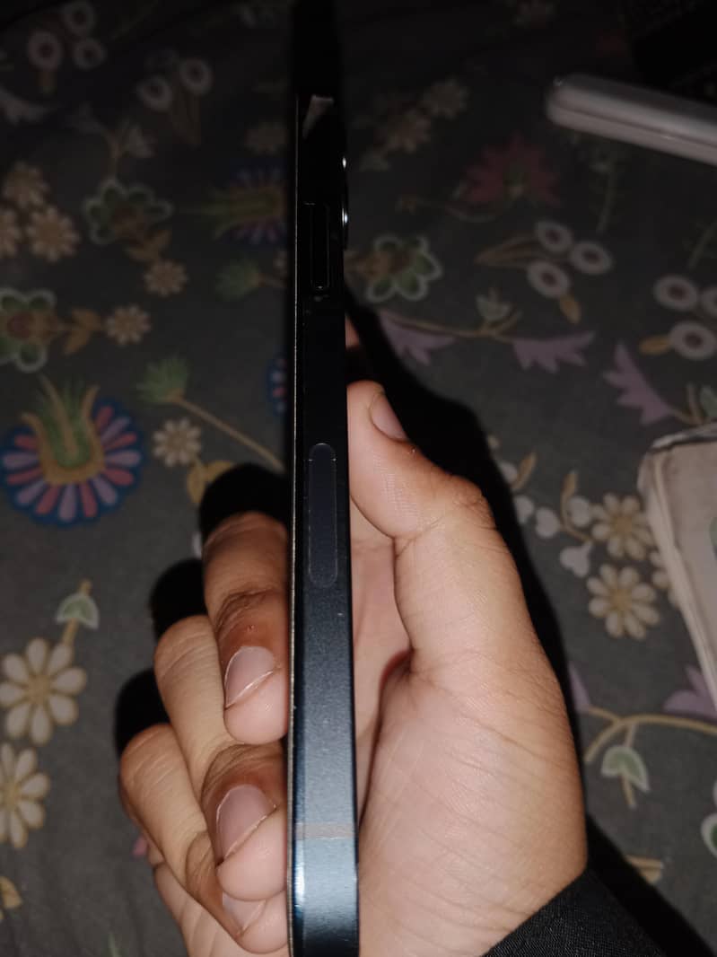 Apple iPhone 12 1