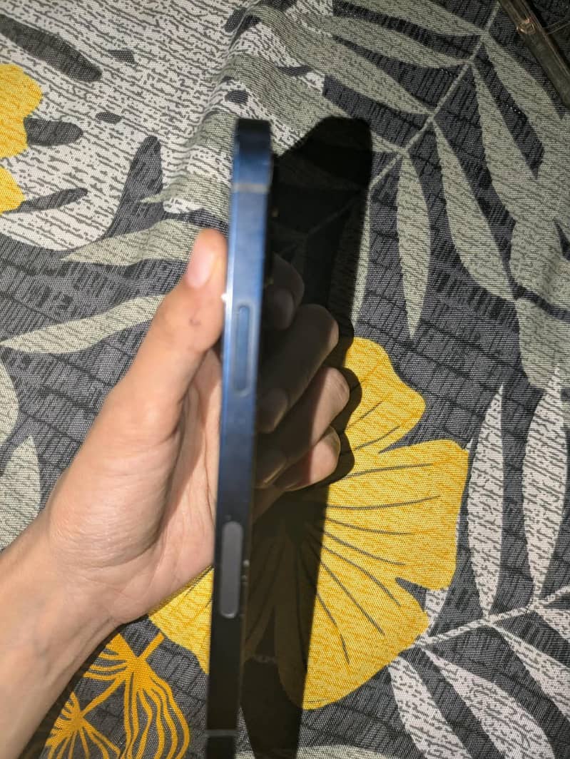 Apple iPhone 12 2