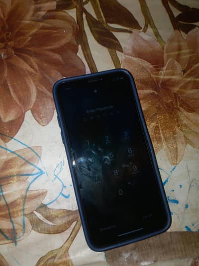 Apple iPhone X
