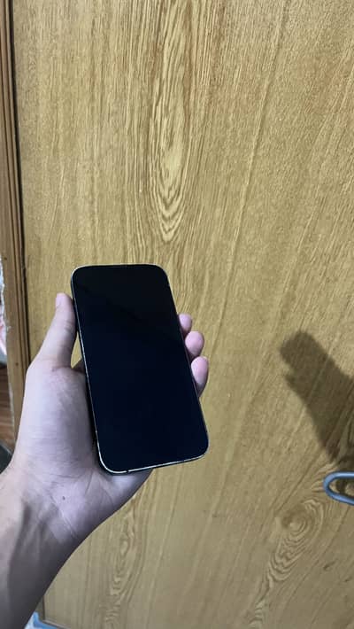 iPhone 13 FACTORY WATERPACK CHANCE WALA