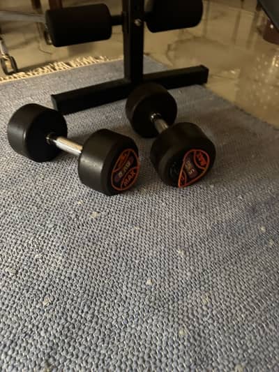 Dumbbells & Incline Bench