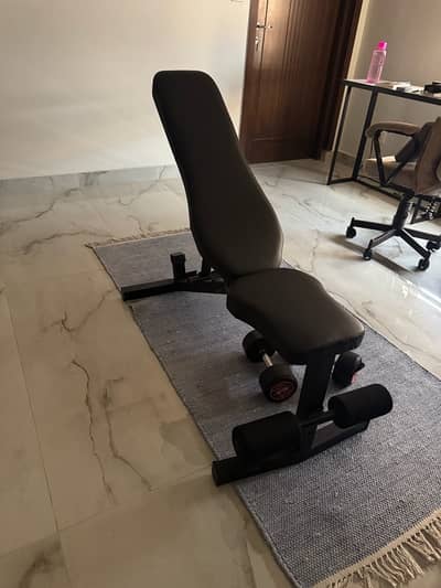 Dumbbells & Incline Bench