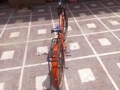 perfect bicycle sports