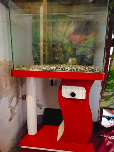 Fish aquarium
