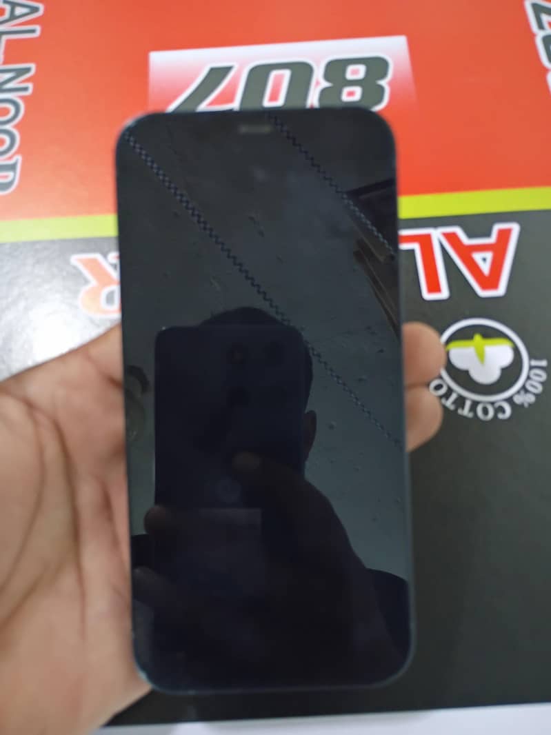 Apple iPhone 12 1
