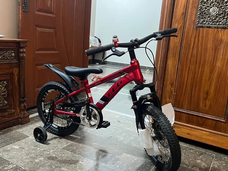 Children cycle 2