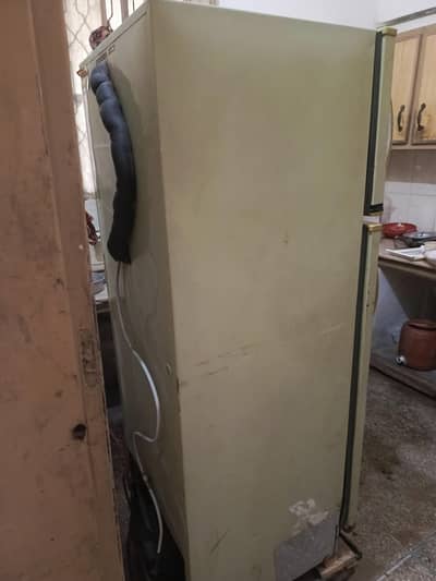 Fridge Medium Size