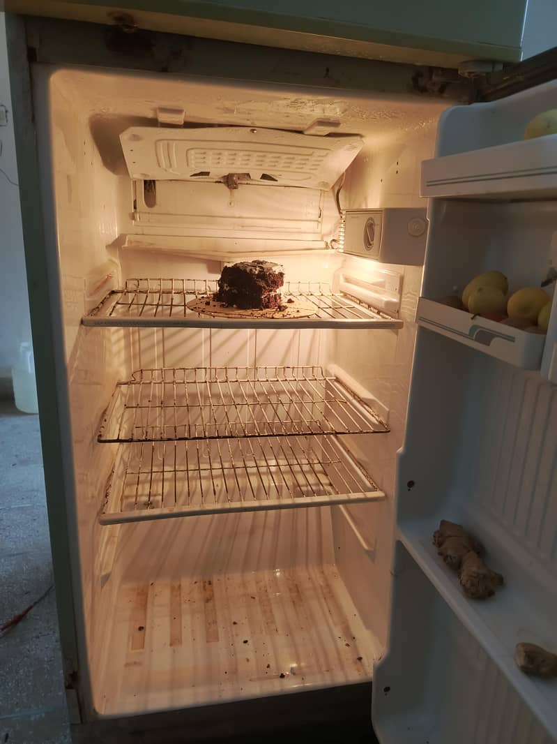 Fridge Medium Size 1
