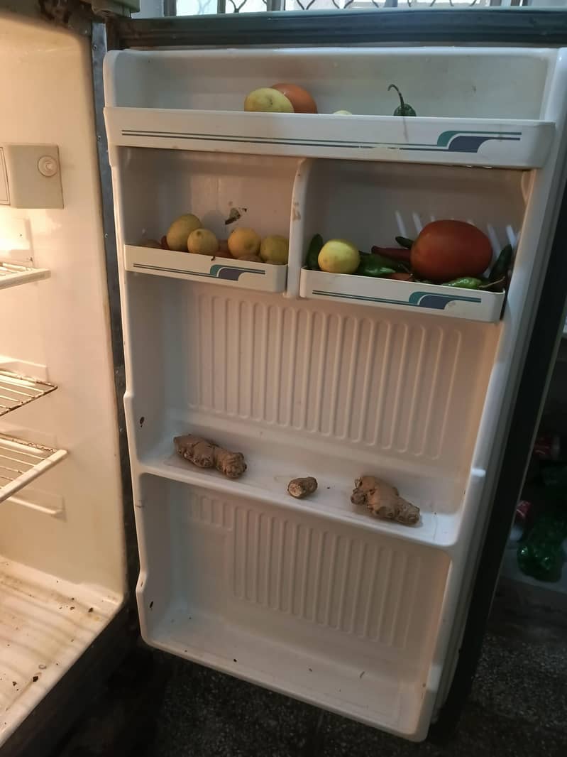 Fridge Medium Size 2