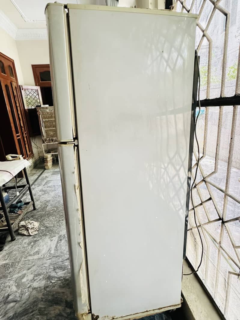 PEL Refrigerator 1