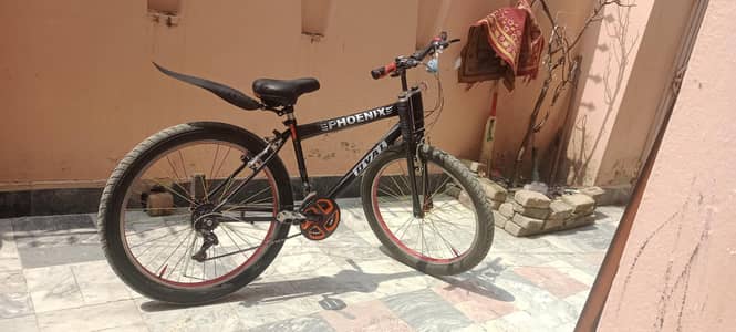 Phoenix Bicycle , New Condition , Full Size