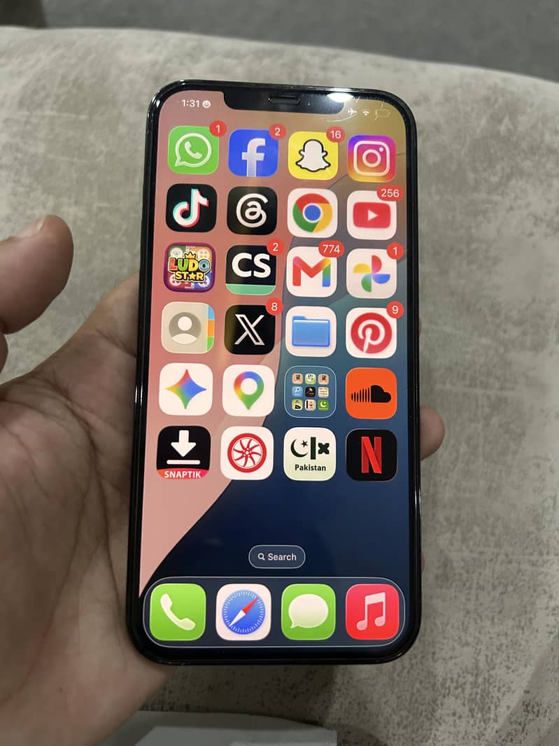 Apple iPhone 12 Pro Max 1