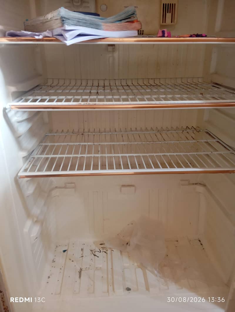 Fridge 2