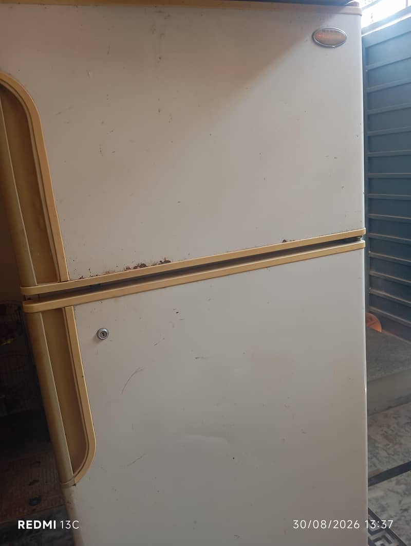 Fridge 5