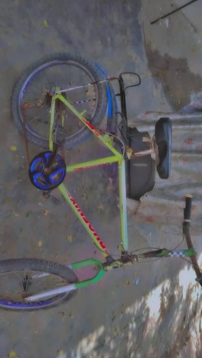 by cycle