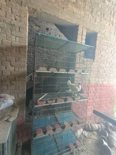 iron cage for sale no rust