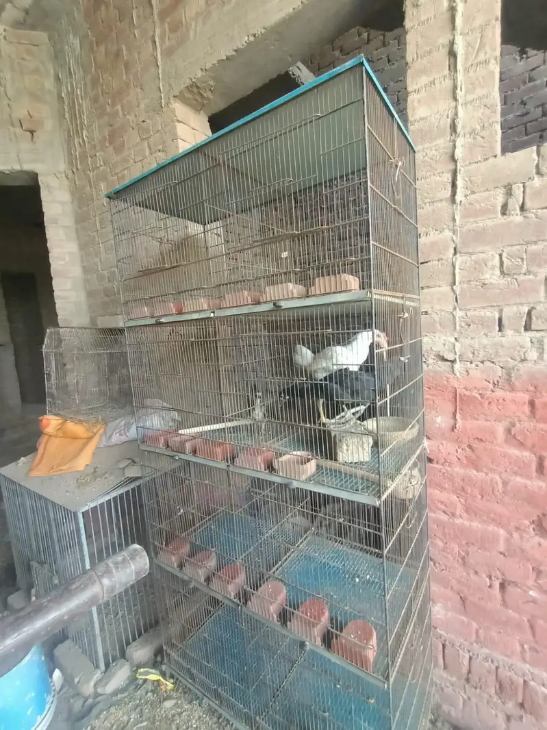 iron cage for sale no rust — photo 5